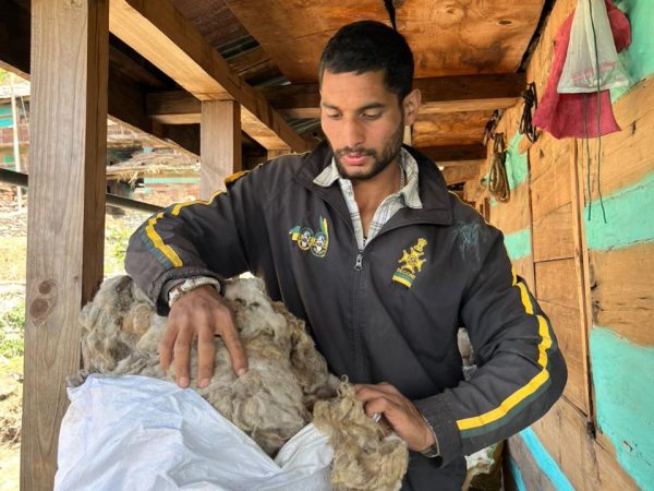 April 26- Wool purchase from last mile of Tehrii District by MoZopanda Firm (3)